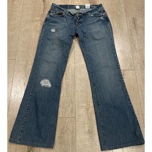 Vintage Lucky Brand Jeans Womens 8/29 Blue Denim Button Fly Distressed Dungarees